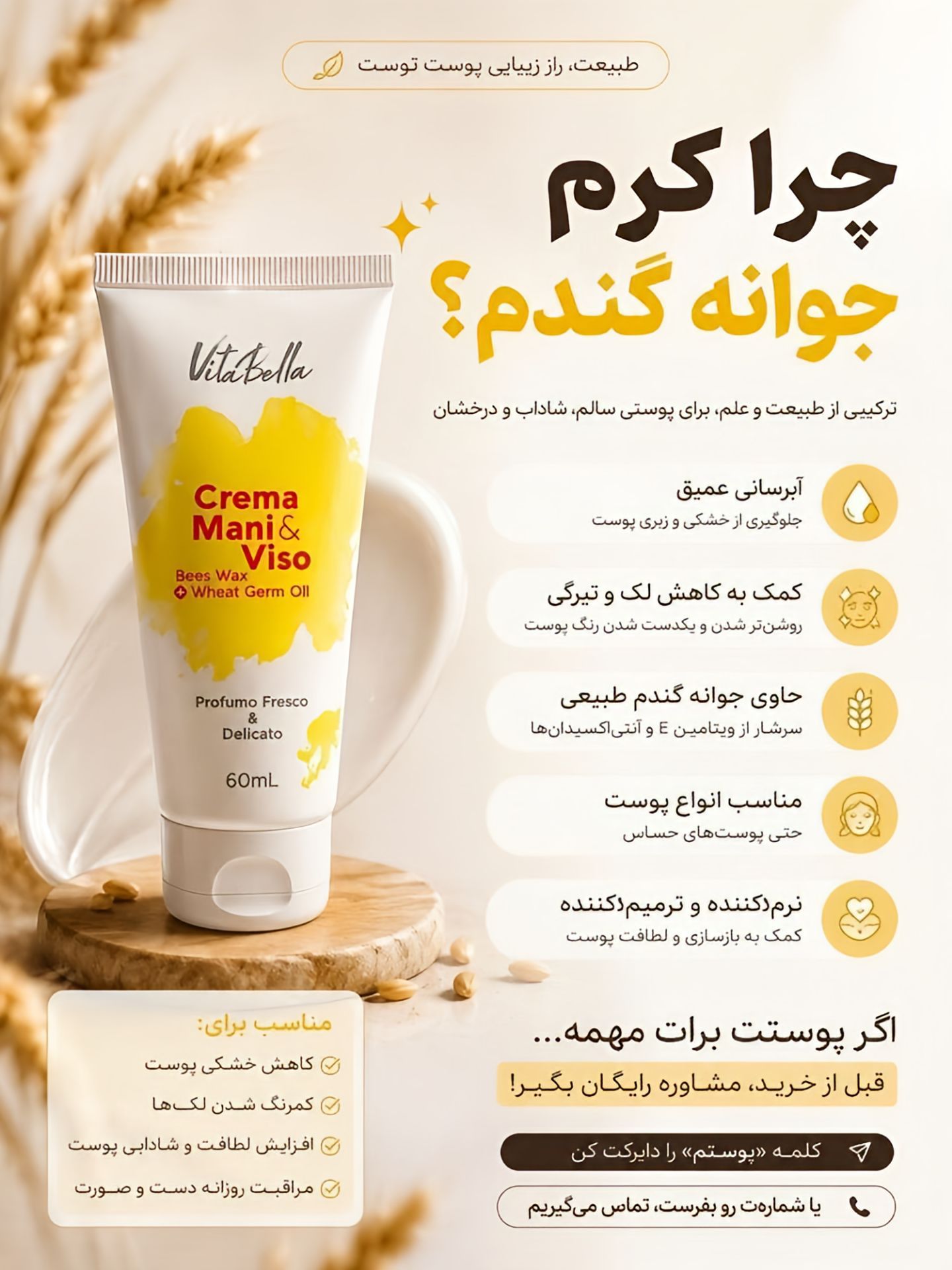 کرم جوانه گندم